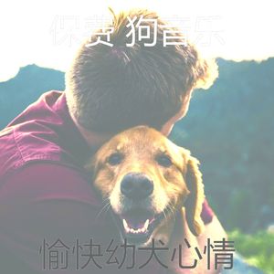 抚慰的幼犬回忆