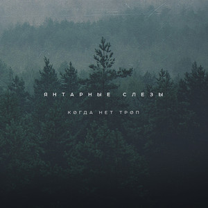 Где Я Остался