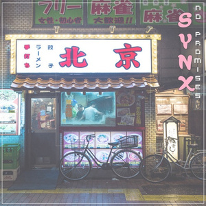 No Promiese (Synx Remix)