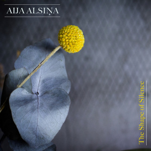 The Shape of Silence