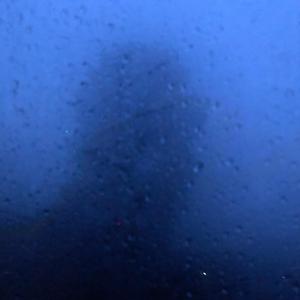 tried to swim (SPED UP)