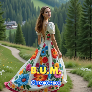 Стежечка