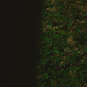 Don't pick flower（pt.1）