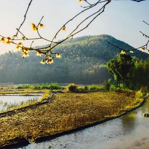 美丽的云南丽江