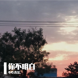 你不明白（翻自 joysaaaa）