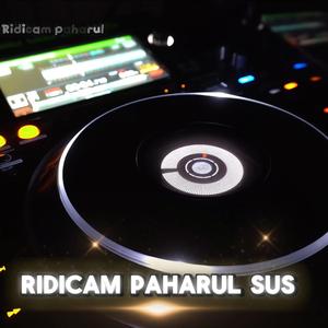 Ridicam Paharul