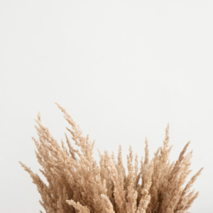 Burbujas En El Tiempo