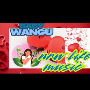 New life music boys (baby wangu official music)