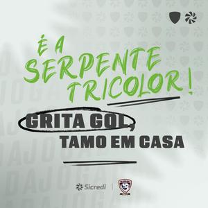 Serpente Tricolor (A parceria não para) (feat. Cascavel Futsal)