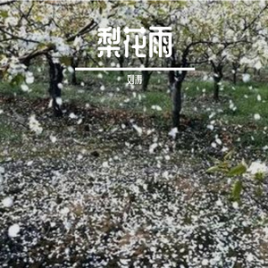 梨花雨