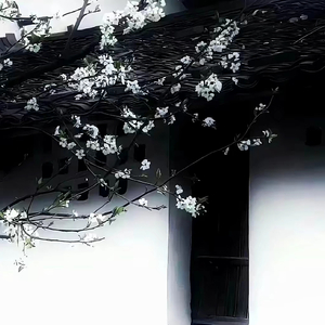 墨染山水.wav