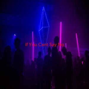 If You Can't Say No (Tribute version originally performed by Lenny Kravitz)