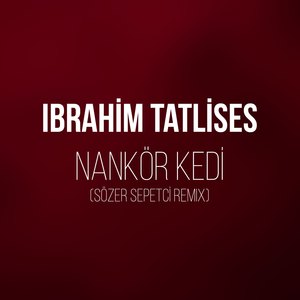 Nankör Kedi (Sözer Sepetci Remix)