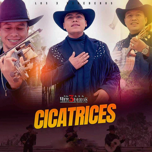 Cicatrices