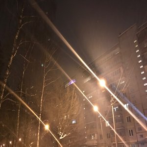 Walking of Many Miles, Poststructural Kitten, Newt Abrupt 1 (Edited by Razxca)