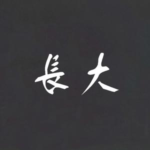 直到世界的尽头（指弹吉他独奏）（Cover WANDS）