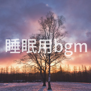 波打ち際の熟睡サウンド