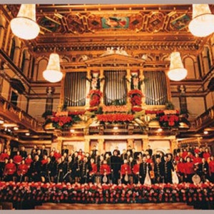 寒江残雪 (Inst.)