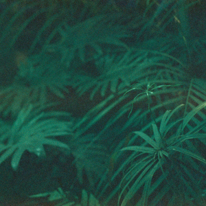 Флюорография