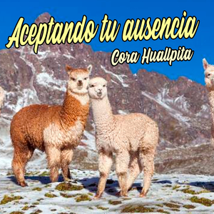 Aceptando Tu Ausencia