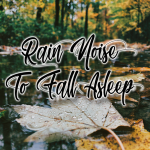 Meditation Rain Sounds