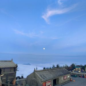 托尼老师的爱情-整曲