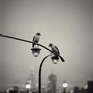 一枚硬币换不到明天