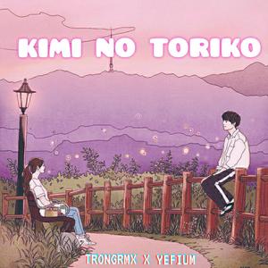 Kimi NO Toriko X Summertime