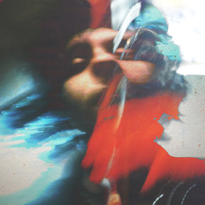 Aspidistra (Basement Sessions)