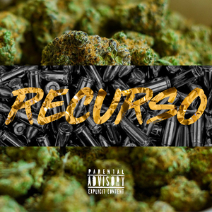 Recurso