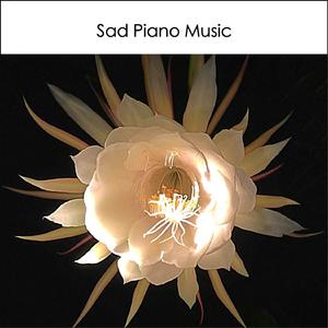Pied Butcherbird (Instrumental Piano Solo) - Emotional Melancholic Sad Music