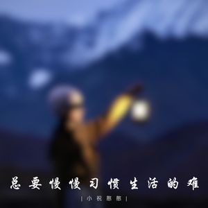 总要慢慢习惯生活的难