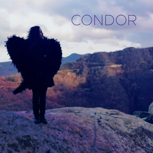 Condor