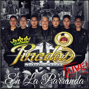 El Sinaloense