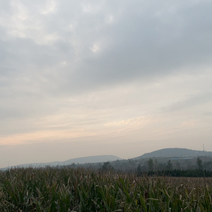 后来我们学会了装作没事