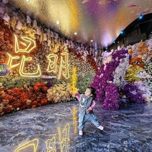 软萌时光