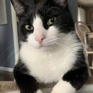 You Don't Know Me (slowed)