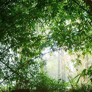 束竹令（Cover HITA）