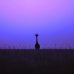 Around the World - Sped Up