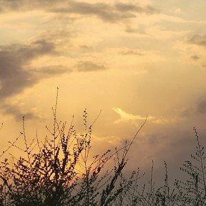 借过（翻自 零玖一叁）