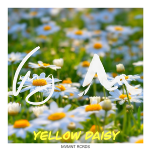 yellow daisy