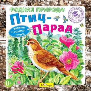 Луговой конёк