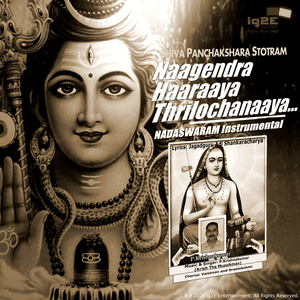 Naagendra Haaraaya Thrilochanaaya (Nadaswaram Instrumental)