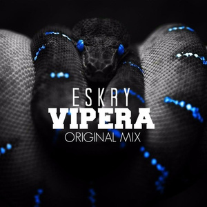 Vipera