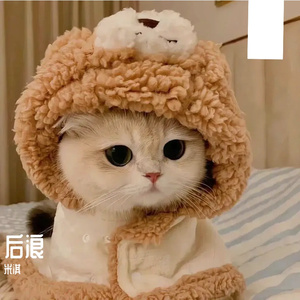 骗局