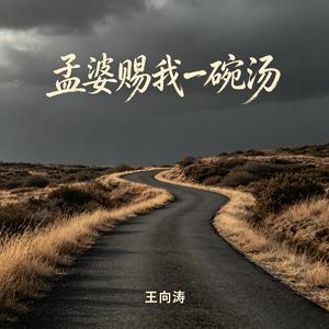 孟婆赐我一碗汤