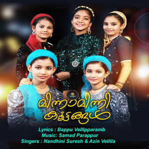 Minnaminni Koottangal