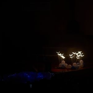 【星尘Infinity】玫瑰与泪（Cover银临）