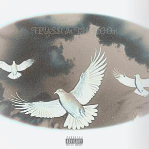 FLYE$t In THe ROOm