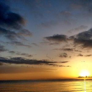 假如我没有爱过你